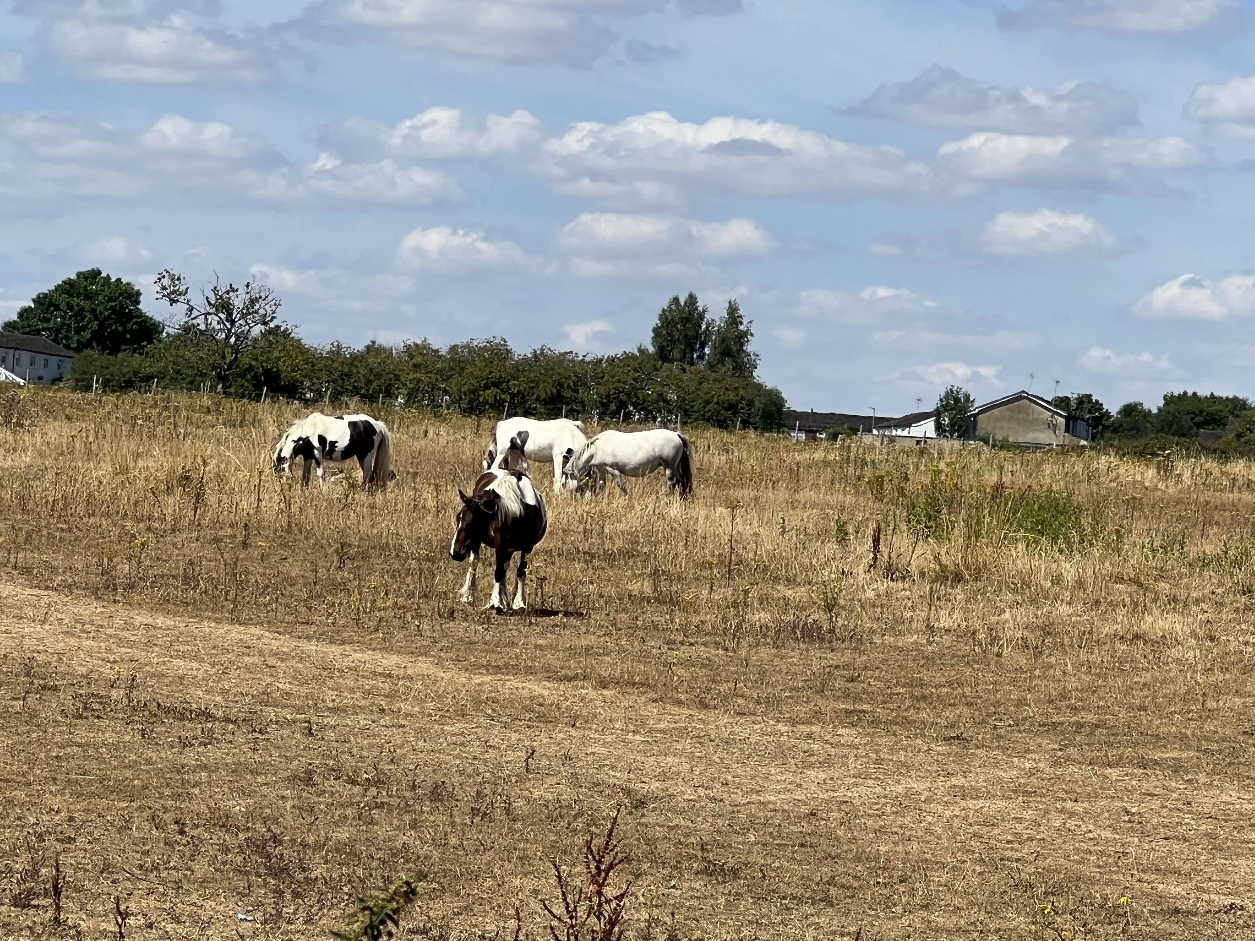 Holmer Green, Buckinghamshire - Site View 1