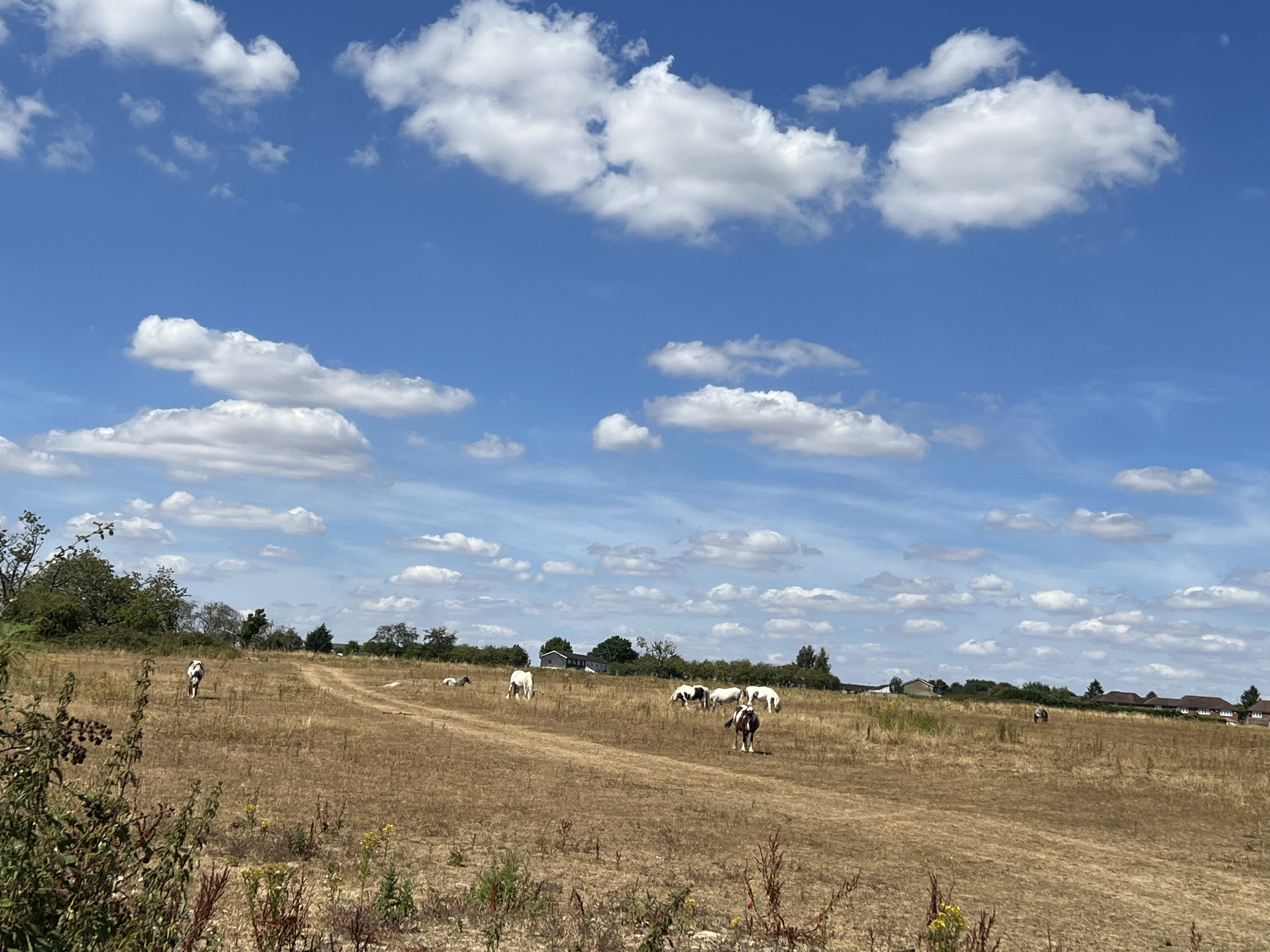 Holmer Green, Buckinghamshire - Site View 2