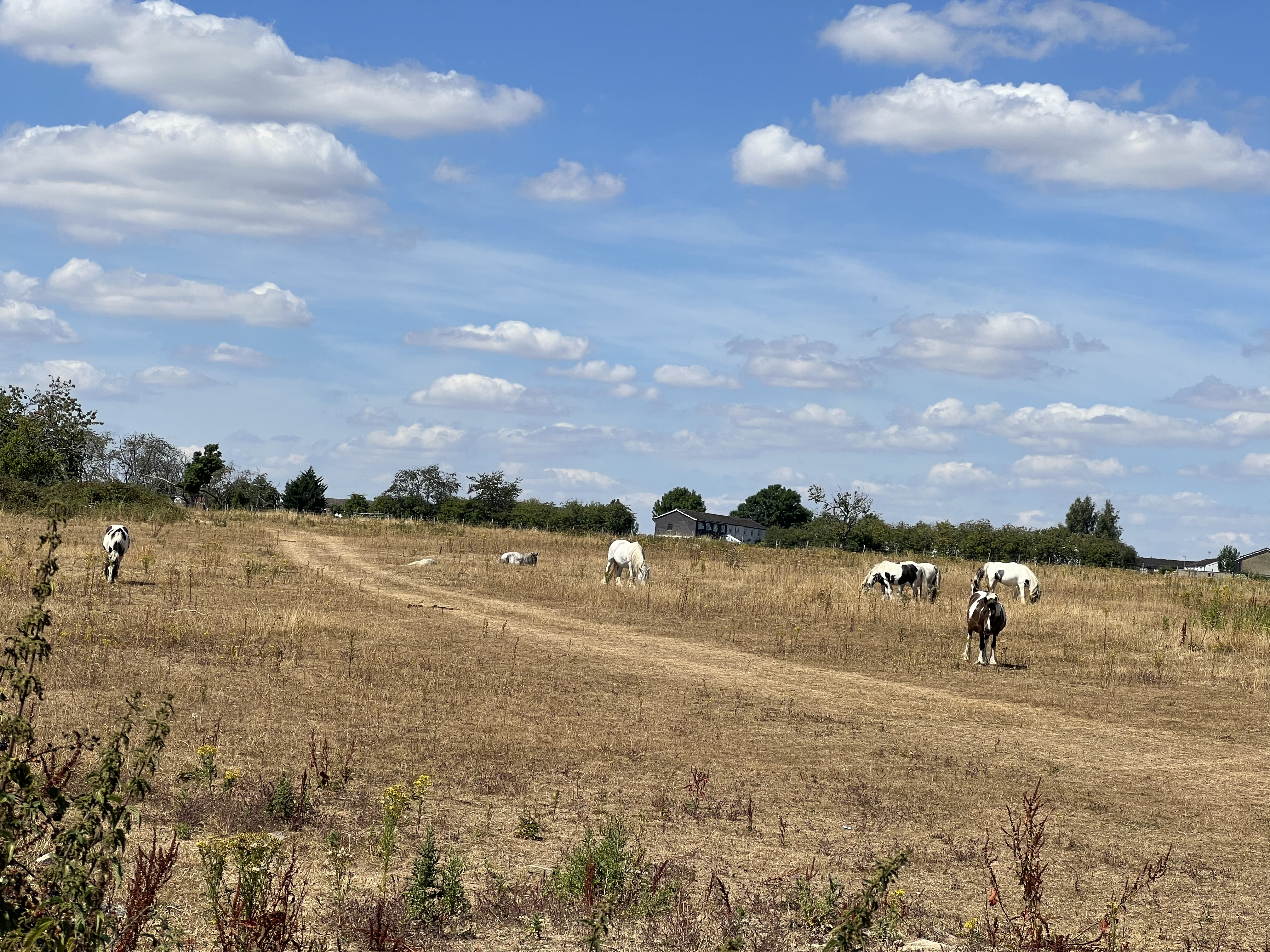 Holmer Green, Buckinghamshire - Site View 3